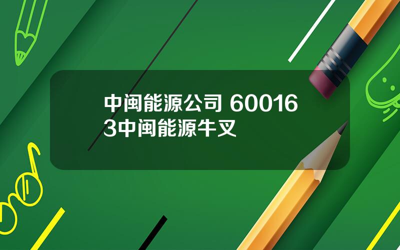 中闽能源公司 600163中闽能源牛叉